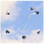 Geometry Series: A moment after Proposition 31