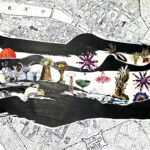 Habitat-Anemonies-fixed